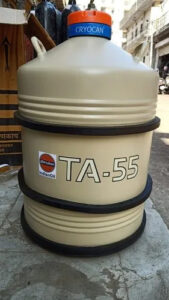 Liquid Nitrogen Container