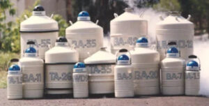 Liquid Nitrogen Cryocans